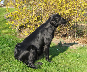 26.03.2007 um 17.45 Uhr